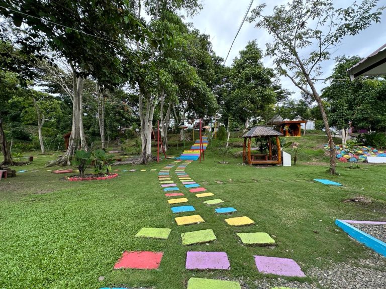 WhatsApp Image 2024-02-28 at 11.09.24